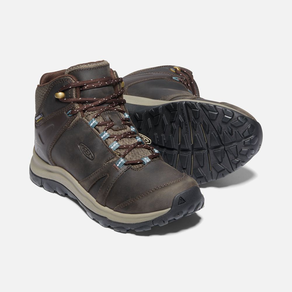 Keen Laarzen Dames Bruin - Terradora Ii Leern Waterproof - 13924-YBHA